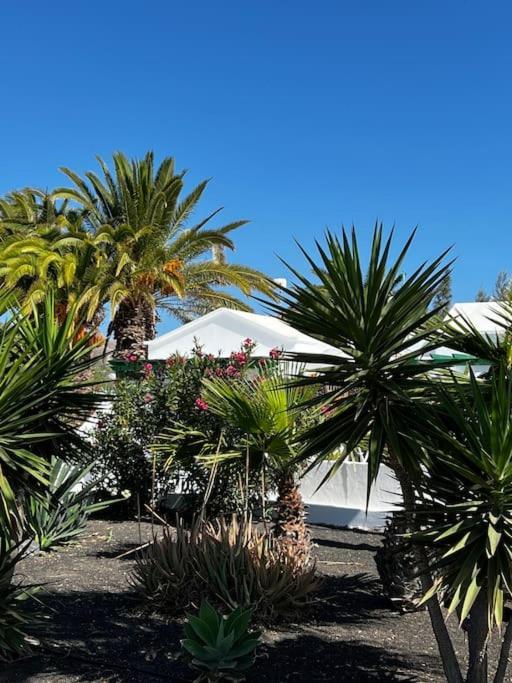 Lovely Casita Jade Playa Blanca  Exterior photo